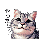 ドット絵 サバトラ 猫 日常会話 40種（個別スタンプ：23）