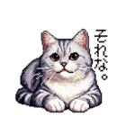 ドット絵 サバトラ 猫 日常会話 40種（個別スタンプ：24）