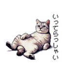 ドット絵 サバトラ 猫 日常会話 40種（個別スタンプ：25）