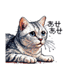 ドット絵 サバトラ 猫 日常会話 40種（個別スタンプ：28）