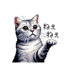 ドット絵 サバトラ 猫 日常会話 40種（個別スタンプ：29）