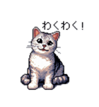 ドット絵 サバトラ 猫 日常会話 40種（個別スタンプ：30）