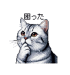 ドット絵 サバトラ 猫 日常会話 40種（個別スタンプ：32）