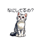 ドット絵 サバトラ 猫 日常会話 40種（個別スタンプ：33）