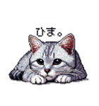 ドット絵 サバトラ 猫 日常会話 40種（個別スタンプ：35）