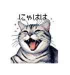 ドット絵 サバトラ 猫 日常会話 40種（個別スタンプ：37）