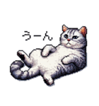 ドット絵 サバトラ 猫 日常会話 40種（個別スタンプ：38）