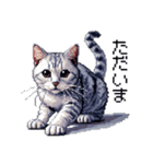 ドット絵 サバトラ 猫 日常会話 40種（個別スタンプ：39）