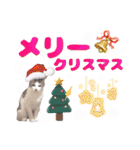 Xmas年末年始毎日使えるユメちゃんの日常④（個別スタンプ：5）