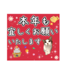 Xmas年末年始毎日使えるユメちゃんの日常④（個別スタンプ：17）