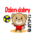 バレーボール犬 ポーランド語と日本語（個別スタンプ：1）