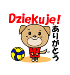 バレーボール犬 ポーランド語と日本語（個別スタンプ：2）