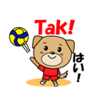 バレーボール犬 ポーランド語と日本語（個別スタンプ：4）