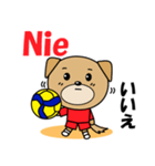 バレーボール犬 ポーランド語と日本語（個別スタンプ：5）