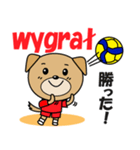 バレーボール犬 ポーランド語と日本語（個別スタンプ：8）