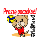 バレーボール犬 ポーランド語と日本語（個別スタンプ：22）