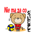 バレーボール犬 ポーランド語と日本語（個別スタンプ：30）
