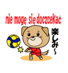 バレーボール犬 ポーランド語と日本語（個別スタンプ：31）