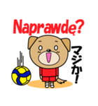 バレーボール犬 ポーランド語と日本語（個別スタンプ：32）