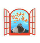 鳩のポックルさん（個別スタンプ：1）