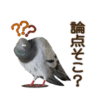 鳩のポックルさん（個別スタンプ：37）