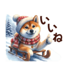 年中使える柴ちゃん＊冬多め＊Xmas年末年始（個別スタンプ：4）