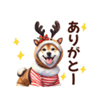 年中使える柴ちゃん＊冬多め＊Xmas年末年始（個別スタンプ：13）