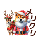 年中使える柴ちゃん＊冬多め＊Xmas年末年始（個別スタンプ：26）