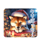 年中使える柴ちゃん＊冬多め＊Xmas年末年始（個別スタンプ：30）