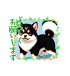 柴犬黒柴モデル40-1（個別スタンプ：11）