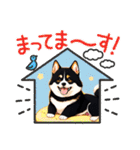 柴犬黒柴モデル40-1（個別スタンプ：16）