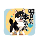 柴犬黒柴モデル40-1（個別スタンプ：19）