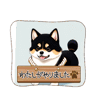 柴犬黒柴モデル40-1（個別スタンプ：26）