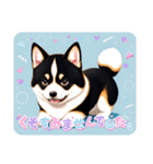 柴犬黒柴モデル40-1（個別スタンプ：27）