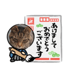 ねこ好きあつまれ！（個別スタンプ：1）