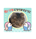 ねこ好きあつまれ！（個別スタンプ：3）