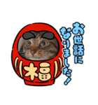 ねこ好きあつまれ！（個別スタンプ：5）