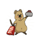 年末年始もクアッカワラビー（個別スタンプ：40）