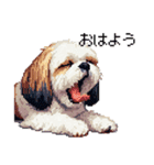 ドット絵 シーズー 日常会話 40種（個別スタンプ：1）