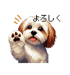 ドット絵 シーズー 日常会話 40種（個別スタンプ：5）