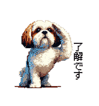 ドット絵 シーズー 日常会話 40種（個別スタンプ：6）