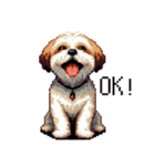 ドット絵 シーズー 日常会話 40種（個別スタンプ：7）