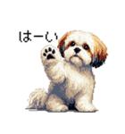 ドット絵 シーズー 日常会話 40種（個別スタンプ：9）