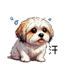 ドット絵 シーズー 日常会話 40種（個別スタンプ：13）