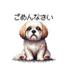 ドット絵 シーズー 日常会話 40種（個別スタンプ：15）