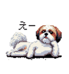 ドット絵 シーズー 日常会話 40種（個別スタンプ：20）