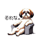 ドット絵 シーズー 日常会話 40種（個別スタンプ：25）