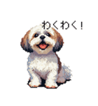 ドット絵 シーズー 日常会話 40種（個別スタンプ：29）