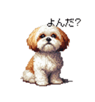 ドット絵 シーズー 日常会話 40種（個別スタンプ：33）