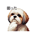 ドット絵 シーズー 日常会話 40種（個別スタンプ：34）